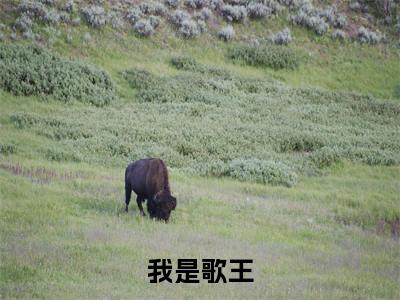 我是歌王(白辰)老书虫2023良心推荐小说-我是歌王(白辰)小说精彩免费试读