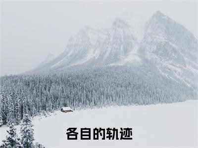 各自的轨迹小说全文免费阅读无弹窗大结局_（ 蔺诚城贝岩昊免费阅读无弹窗）最新章节列表_笔趣阁