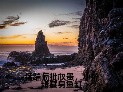 猛踹疯批权贵,小撩精藏身鱼缸(沉婳凤郁商)全文免费阅读无弹窗大结局_(沉婳凤郁商阅读无弹窗)猛踹疯批权贵,小撩精藏身鱼缸小说_笔趣阁