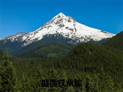 盛茴权承瑜(权承瑜盛茴)小说免费下载全本-盛茴权承瑜(权承瑜盛茴完整版)免费阅读大结局(权承瑜盛茴)