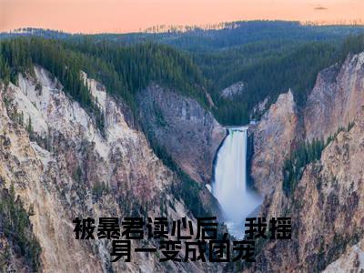 《被暴君读心后，我摇身一变成团宠》无弹窗大结局（池夏君衍）-抖音热推被暴君读心后，我摇身一变成团宠无弹窗阅读最新章节列表_笔趣阁