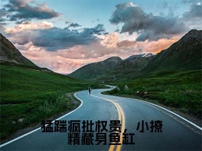 沉婳凤郁商(猛踹疯批权贵,小撩精藏身鱼缸)全文免费阅读无弹窗大结局_(沉婳凤郁商小说免费阅读全文大结局)最新章节列表_笔趣阁