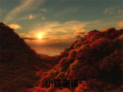 小霜谢临全文免费阅读无弹窗,谢临小霜小说最新章节列表无删减_笔趣阁
