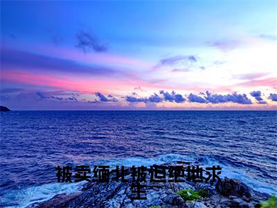 (热推新书)《被卖缅北被迫绝地求生》沈媚淑孟星宇无弹窗阅读_被卖缅北被迫绝地求生最新章节列表_笔趣阁