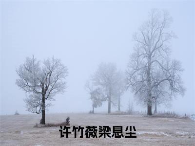 （梁息尘许竹薇）全文免费阅读无弹窗大结局_许竹薇梁息尘免费小说最新章节列表笔趣阁（梁息尘许竹薇）