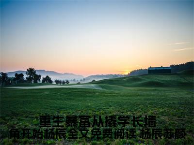 重生暴富从撬学长墙角开始杨辰全文免费阅读（ 杨辰苏颜）小说全文免费阅读无弹窗大结局_（ 杨辰苏颜）重生暴富从撬学长墙角开始杨辰全文免费阅读最新章节列表（重生暴富从撬学长墙角开始杨辰全文免费阅读）