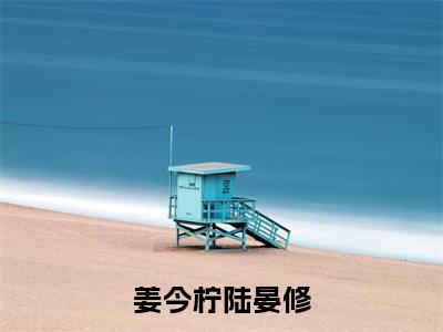 【新书】姜今柠陆晏修全文全章节免费阅读-陆晏修姜今柠小说免费阅读无弹窗最新章节列表