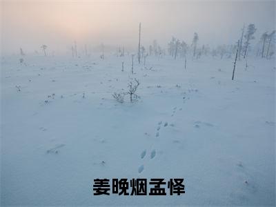 姜晚烟孟怿(孟怿姜晚烟)免费全文阅读小说_姜晚烟孟怿免费在线阅读(孟怿姜晚烟)小说最新章节列表-笔趣阁(孟怿姜晚烟)