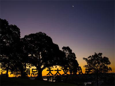 薄总,太太又跟人去约会了(沈晚瓷薄荆舟)全文免费阅读_沈晚瓷薄荆舟(薄总,太太又跟人去约会了)最新章节列表笔趣阁