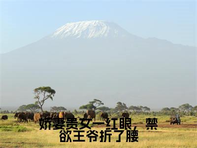 娇妻贵女一红眼,禁欲王爷折了腰(萧琅炎沈定珠)全文免费阅读无弹窗大结局_萧琅炎沈定珠最新章节列表_笔趣阁(娇妻贵女一红眼,禁欲王爷折了腰)