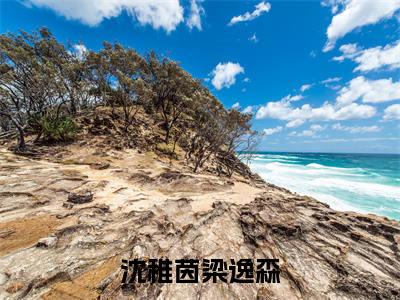 梁逸森沈稚茵全文免费阅读无弹窗大结局_（沈稚茵梁逸森阅读无弹窗）沈稚茵梁逸森最新章节列表_笔趣阁