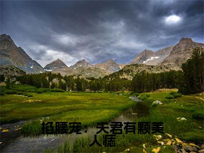 掐腰宠:夫君有颗美人痣抖音新书热荐君楚离顾云汐-最新小说君楚离顾云汐全文阅读
