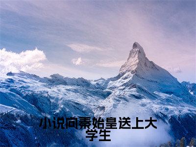 （ 叶临嬴政）小说向秦始皇送上大学生全文免费阅读无弹窗_（小说向秦始皇送上大学生小说免费阅读）最新章节列表笔趣阁