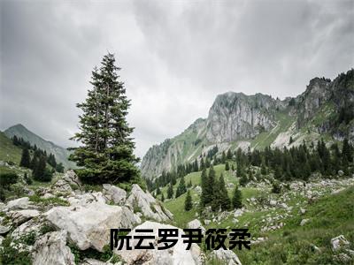  阮云罗尹筱柔全文免费阅读无弹窗大结局_（拒绝你嫁凤凰男，你管这叫恶人？阅读无弹窗）拒绝你嫁凤凰男，你管这叫恶人？最新章节列表_笔趣阁