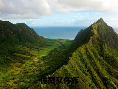 诡案女仵作(姜甯沈君尧)全文免费阅读_姜甯沈君尧正版小说全文阅读