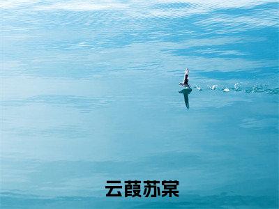 云葭苏棠书名是《冲喜医妃：这柔弱世子我要了！》在线赏析_冲喜医妃：这柔弱世子我要了！热门推荐阅读笔趣阁