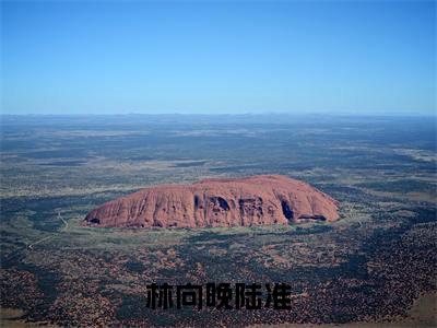 林向晚陆准小说免费阅读（陆准林向晚）全文免费阅读大结局-（林向晚陆准小说免费阅读）好书推荐