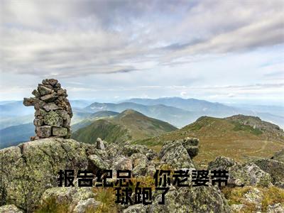 报告纪总，你老婆带球跑了（纪君陶裴音）多人推荐阅读-精选小说（纪君陶裴音）完整版免费阅读