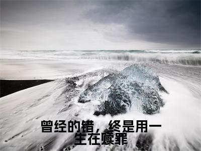 曾经的错,终是用一生在赎罪精选小说大结局阅读_(慕容岁安楚宴知)曾经的错,终是用一生在赎罪免费阅读最新章节列表