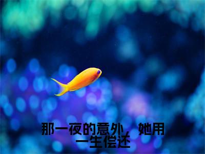 （那一夜的意外，她用一生偿还）姜苒顾宵全文完整版-2023最新热门榜单小说那一夜的意外，她用一生偿还（姜苒顾宵）