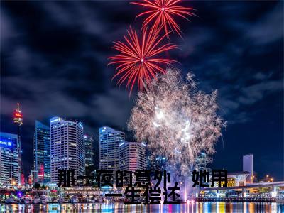 (那一夜的意外，她用一生偿还)全集小说完整版大结局_那一夜的意外，她用一生偿还全文免费无弹窗最新章节列表_笔趣阁(姜苒顾宵全文免费)