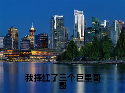 林潼（我捧红了三个巨星哥哥）精彩满分小说-强烈推荐我捧红了三个巨星哥哥（林潼）小说精彩全文阅读