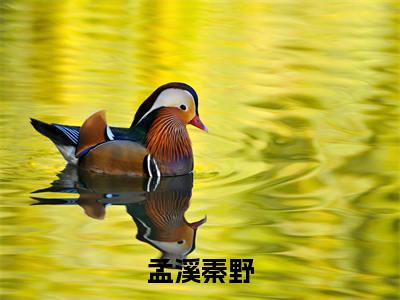 孟溪秦野(秦野孟溪)全文免费在线阅读_孟溪秦野全文阅读_笔趣阁(秦野孟溪)