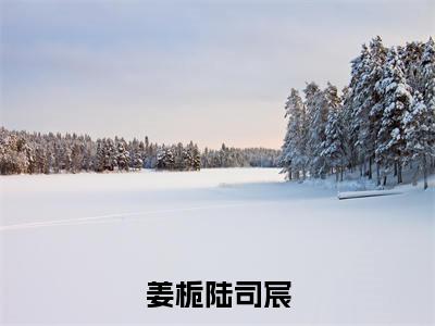 姜栀陆司宸全文免费在线阅读大结局_（陆司宸姜栀免费阅读无弹窗）姜栀陆司宸全文免费完结版阅读（陆司宸姜栀）