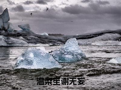 温梨笙谢无妄(谢无妄温梨笙)全文免费阅读无弹窗大结局-温梨笙谢无妄最新章节列表免费阅读