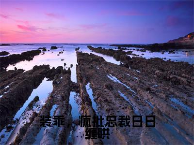 姜茶裴轻寂精彩小说-装乖,疯批总裁日日缠哄全章节免费阅读
