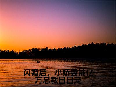 闪婚后,小娇妻被亿万总裁日日宠(夏浅浅顾言卿全章节完整版)免费阅读_(夏浅浅顾言卿)闪婚后,小娇妻被亿万总裁日日宠全文无删减免费阅读