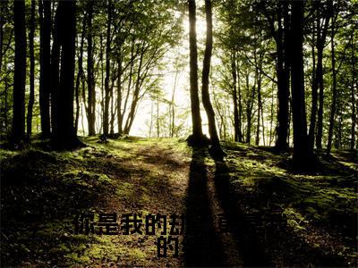 你是我的劫,更是我的结(温栀栀陆晟)免费阅读无弹窗-小说你是我的劫,更是我的结大结局全文免费阅读