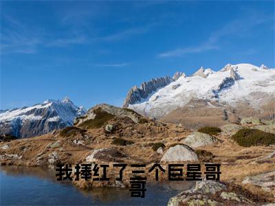 林潼小说全文免费阅读(我捧红了三个巨星哥哥)全文免费我捧红了三个巨星哥哥小说无弹窗大结局_我捧红了三个巨星哥哥读最新章节列表_笔趣阁(林潼小说)