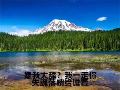 陆瑾之乔吟（嫌我太舔？我一走你失魂落魄给谁看）小说全文无删减-陆瑾之乔吟小说免费阅读大结局