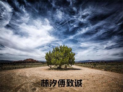 傅致诚林汐免费阅读无弹窗大结局-林汐傅致诚最新全章节全文阅读免费阅读-笔趣阁