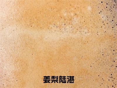 陆湛姜梨长篇免费小说，姜梨陆湛最新章节在线阅读