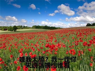陆瑾之乔吟（完整版）小说推荐-陆瑾之乔吟热文小说嫌我太舔？我一走你失魂落魄给谁看免费阅读全文