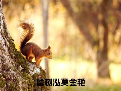 詹树泓莫金艳莫金艳詹树泓小说-詹树泓莫金艳小说全文免费阅读