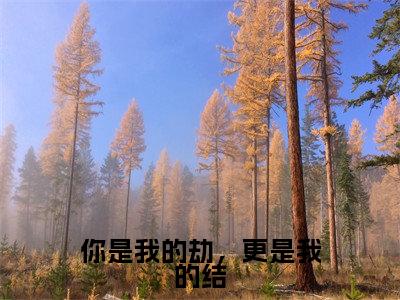 你是我的劫,更是我的结(温栀栀陆晟)全文在线阅读无弹窗大结局_(你是我的劫,更是我的结在线阅读)最新章节列表_笔趣阁(温栀栀陆晟)