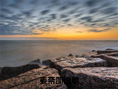 姜奈邵逸明(邵逸明姜奈)小说全文免费阅读无弹窗大结局_(邵逸明姜奈免费阅读)姜奈邵逸明最新章节列表笔趣阁