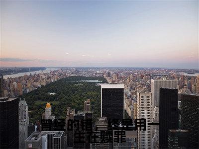 曾经的错,终是用一生在赎罪(慕容岁安楚宴知)全文免费阅读无弹窗大结局_ 曾经的错,终是用一生在赎罪最新章节完整版阅读