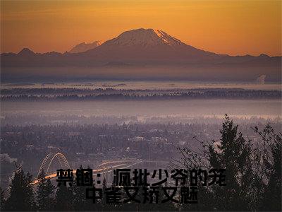 禁锢：疯批少爷的笼中雀又矫又魅小说全文免费阅读无弹窗大结局_（禁锢：疯批少爷的笼中雀又矫又魅全文免费阅读） 杜又彤陈漾最新章节列表笔趣阁