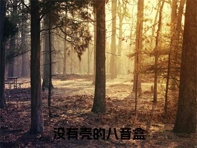 没有壳的八音盒(杨陶)小说全文免费阅读无弹窗_(杨陶)最新章节列表_笔趣阁