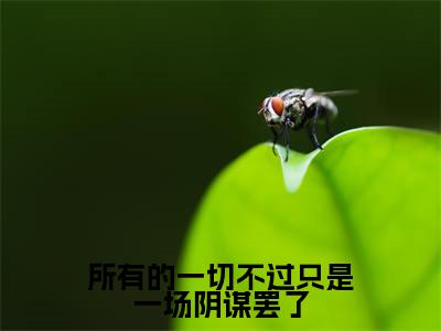 所有的一切不过只是一场阴谋罢了小说（颜竹妤萧璟延）全文免费阅读无弹窗大结局_颜竹妤萧璟延所有的一切不过只是一场阴谋罢了小说最新章节列表_笔趣阁（颜竹妤萧璟延）