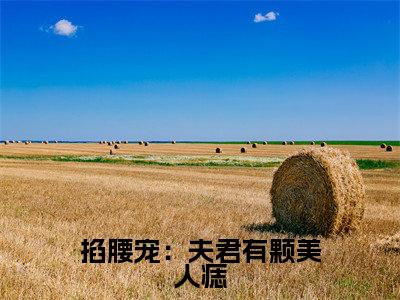 【新书】掐腰宠：夫君有颗美人痣全文全章节免费阅读-君楚离顾云汐 全文免费阅读无弹窗大结局