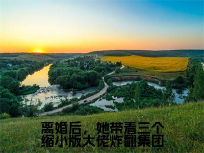 离婚后,她带着三个缩小版大佬炸翻集团小说全文免费阅读无弹窗,(洛熙冷清寒)小说全文免费阅读