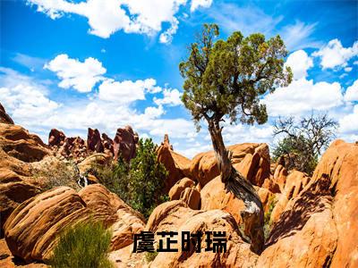 虞芷时瑞(时瑞虞芷)完整版全文在线赏析-虞芷时瑞精彩美文摘抄