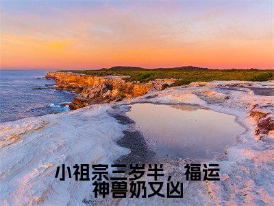 《小祖宗三岁半,福运神兽奶又凶》主角是苏酥全文免费阅读已完结