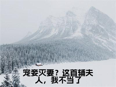 宠妾灭妻？这首辅夫人，我不当了夏瑶云奕霄抖音热推新书小说全文阅读 （夏瑶云奕霄）全文免费阅读大结局