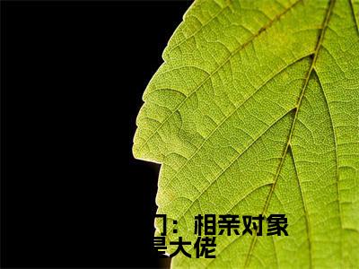 闪婚豪门:相亲对象是大佬全文免费阅读(许南音陈时禹免费阅读无弹窗)闪婚豪门:相亲对象是大佬最新章节列表_笔趣阁